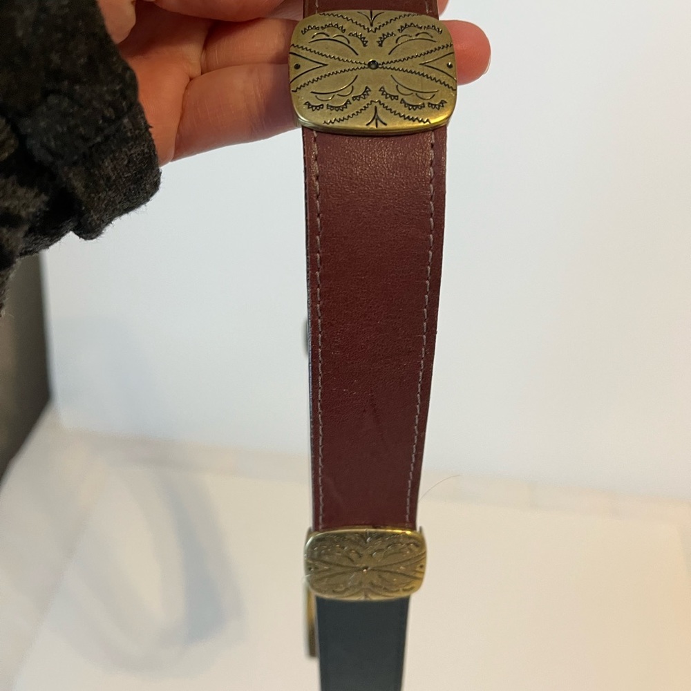 Multi-Color Leather Brighton Belt - image 5